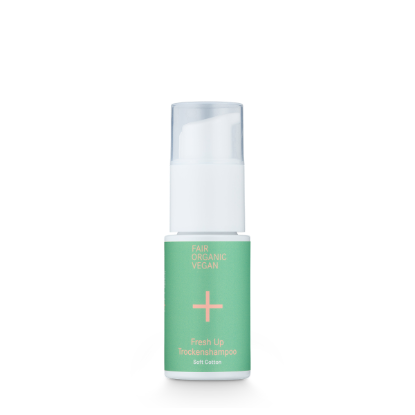 Fresh Up Dry Shampoo