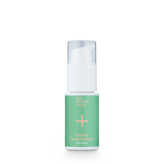 Fresh Up Dry Shampoo