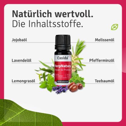 HerpNatura Repair & Protect