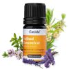 Foot Bath Concentrate Repair & Protect