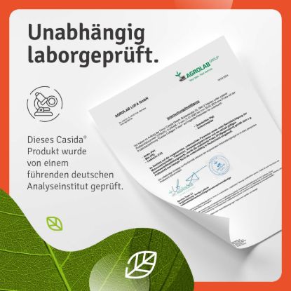 Collagen Powder - Collagen Hydrolyzate
