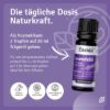 Lavender Oil