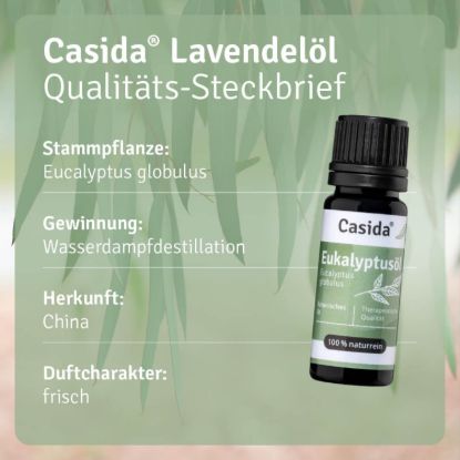 Eukalyptusöl