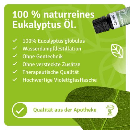 Eukalyptusöl
