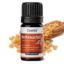 Frankincense Oil