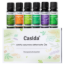 TOP 6 Essential Oils Set