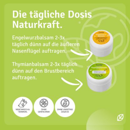 Engelwurzbalsam & Thymianbalsam Myrte Kinder Set