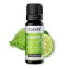 Bergamot Oil