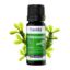 Pine Needle Oil