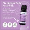 Clary Sage Oil