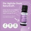 Clary Sage Oil