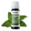 Organic Oregano Oil for Oral Use