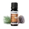 Stone Pine Oil