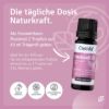 Patchouli Oil