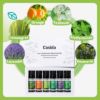 Aroma Diffuser with Essential Oils Set