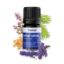 Fragrance Blend Sleep Well