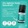 Fragrance Blend Concentration & Focus