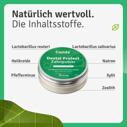 Dental Protect Zahnpulver