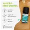 Set Lernfreude