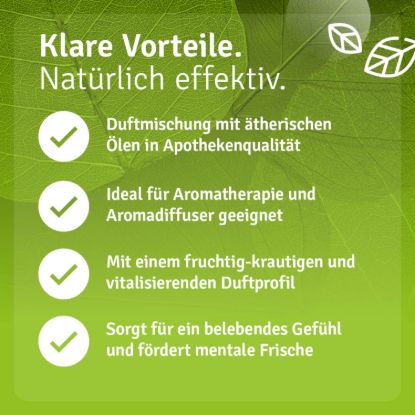 Set Lernfreude