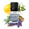 Winter Power Fragrance Blend