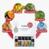 Winter Edition TOP 6 Set with 6 Fragrances & Aroma Jewelry