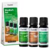 Forest Air Set - Essential Oil Set with Spruce Needle, Stone Pine, & Peppermint Oil