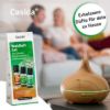 Forest Air Set - Essential Oil Set with Spruce Needle, Stone Pine, & Peppermint Oil