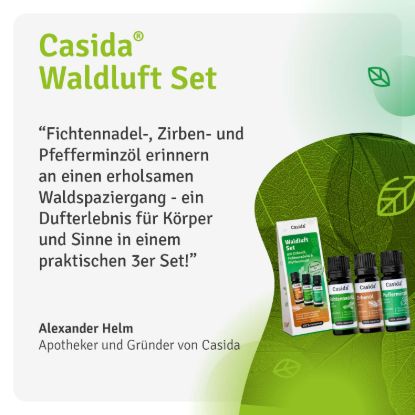 Forest Air Set - Essential Oil Set with Spruce Needle, Stone Pine, & Peppermint Oil