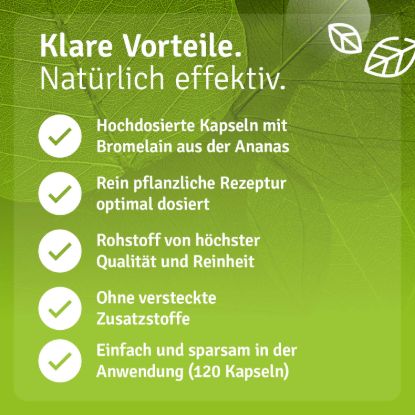 Bromelain Capsules 500 Mg