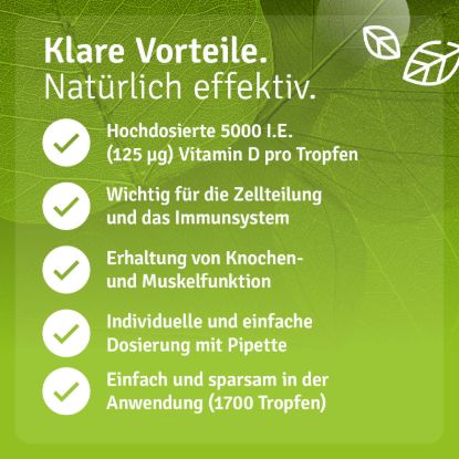 Vitamin D Essential Set