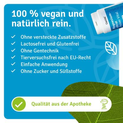 Vitamin D Essential Set