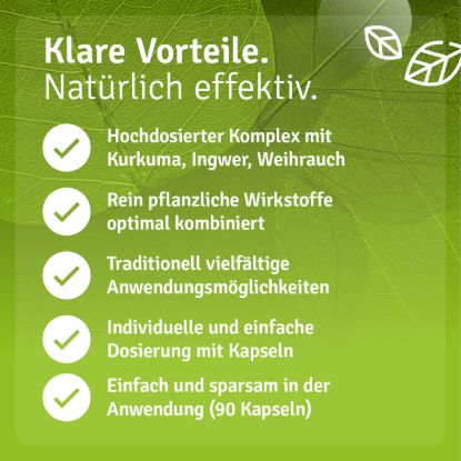 Turmeric – Ginger – Frankincense Capsules