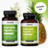 Bromelain + Quercetin Capsules Value Set