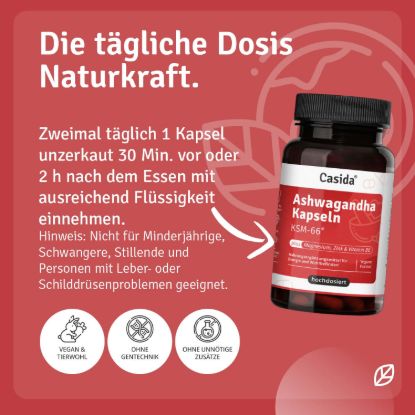 Anti-Stress Set