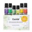TOP 6 Essential Oils Set - Summer Edition