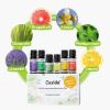 TOP 6 Essential Oils Set - Summer Edition