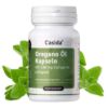 Oregano Oil Capsules