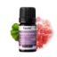 Rose Geranium Oil - Geranium Oil