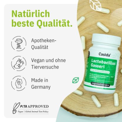 Lactobacillus Gasseri