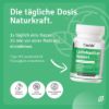 Lactobacillus Gasseri
