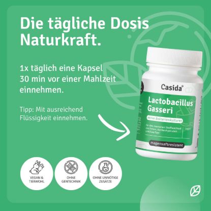Lactobacillus Gasseri