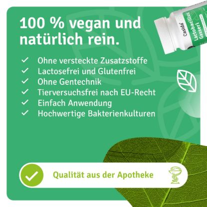 Lactobacillus Gasseri