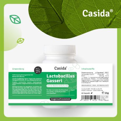 Lactobacillus Gasseri