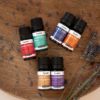 Ceramic Aroma Diffuser with Fragrance Blends Top 6 Set — Apricot / Terracotta
