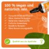 Johanniskrautöl - Rotöl — 100ml