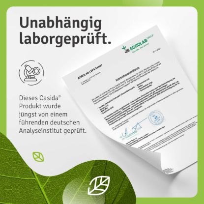 Vitamin D3 K2 Magnesium Capsules
