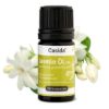 Jasmine Oil 5%