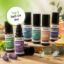 TOP 6 Roll-On Set