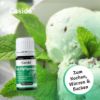 Organic Peppermint Oil for Internal Consumption